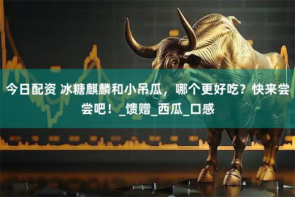 今日配资 冰糖麒麟和小吊瓜，哪个更好吃？快来尝尝吧！_馈赠_西瓜_口感