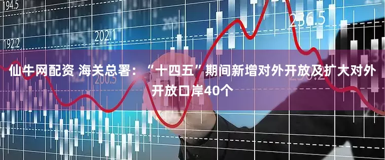 仙牛网配资 海关总署:“十四五”期间新增对外开放及扩大对外开放口岸40个