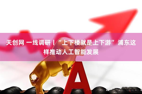 天创网 一线调研丨“上下楼就是上下游” 浦东这样推动人工智能发展