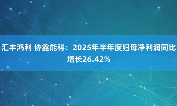 汇丰鸿利 协鑫能科：2025年半年度归母净利润同比增长26.42%