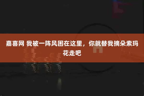 嘉喜网 我被一阵风困在这里，你就替我摘朵索玛花走吧