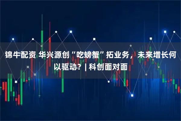 锦牛配资 华兴源创“吃螃蟹”拓业务，未来增长何以驱动？| 科创面对面