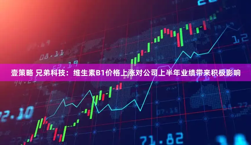 壹策略 兄弟科技：维生素B1价格上涨对公司上半年业绩带来积极影响