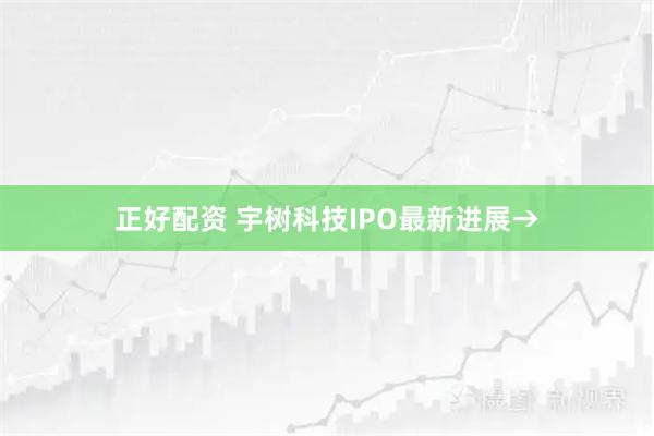 正好配资 宇树科技IPO最新进展→